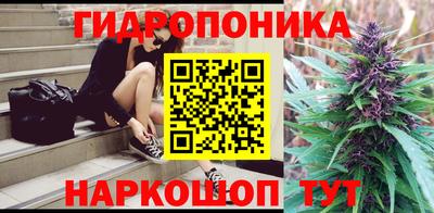 соль ск Партизанск