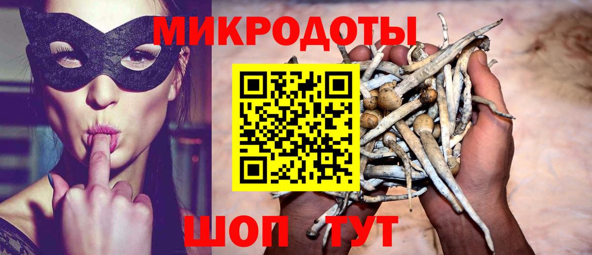 Галлюциногенные грибы Cubensis  Вход с VPN  Тулун  Псилоцибиновые грибы MAGIC MUSHROOMS 